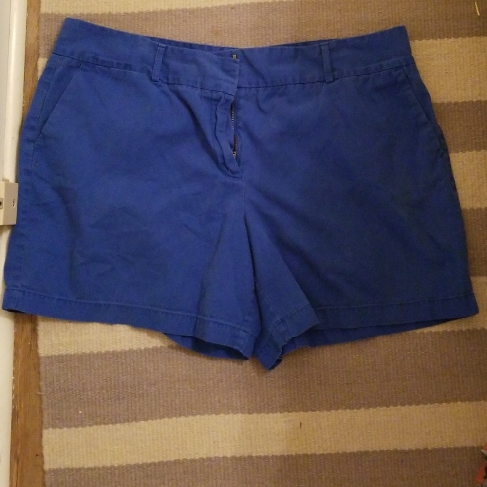 Anne Taylor Loft Blue Shorts